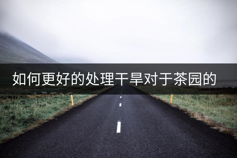 如何更好的處理干旱對(duì)于茶園的影響？