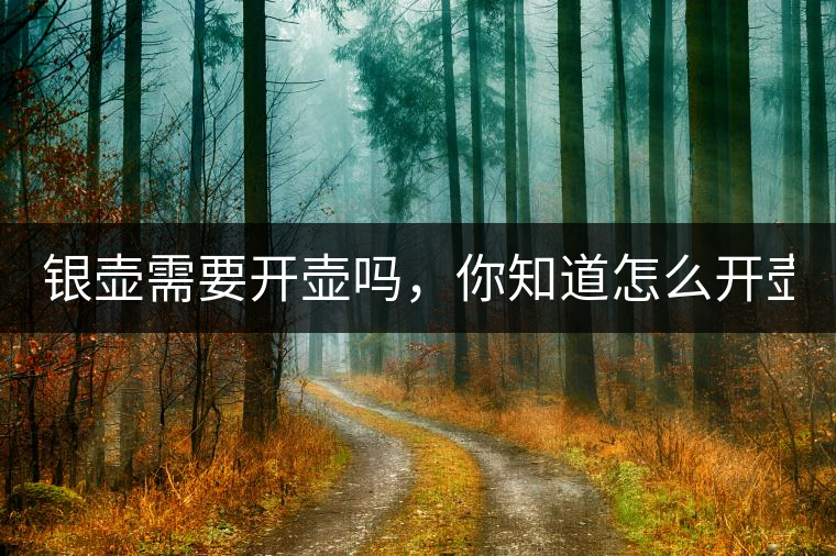 銀壺需要開壺嗎，你知道怎么開壺？