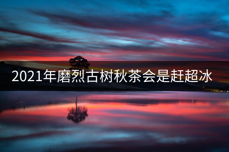 2021年磨烈古樹(shù)秋茶會(huì)是趕超冰島的存在嗎？