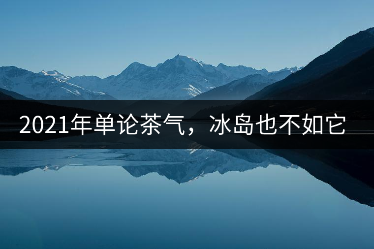 2021年單論茶氣，冰島也不如它-磨烈古樹秋