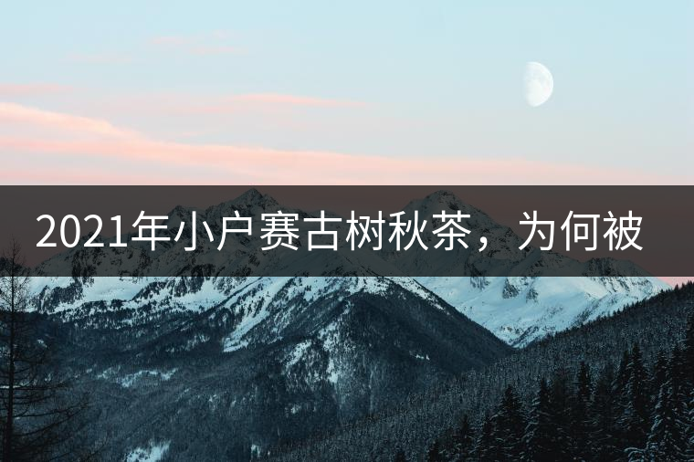 2021年小戶賽古樹秋茶，為何被稱為賽冰島？