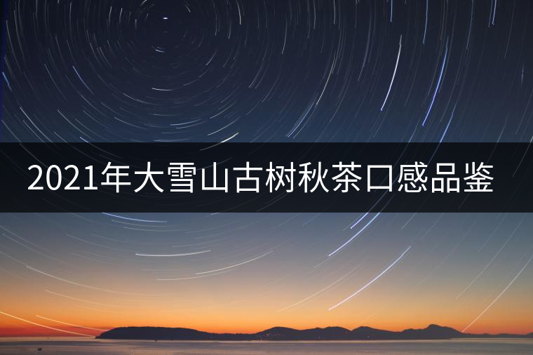 2021年大雪山古樹秋茶口感品鑒？
