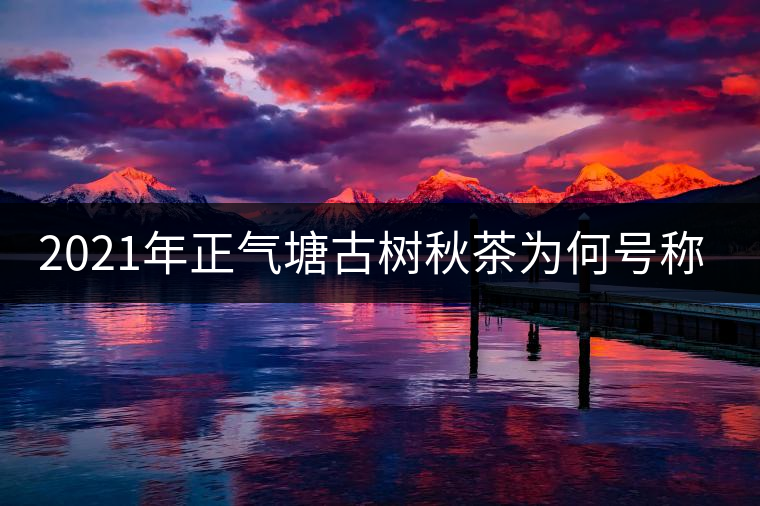 2021年正氣塘古樹(shù)秋茶為何號(hào)稱小冰島？