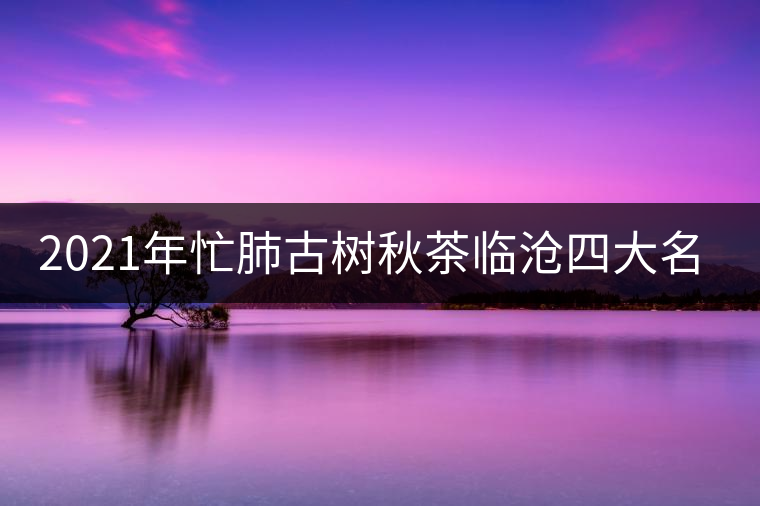 2021年忙肺古樹秋茶臨滄四大名茶之一! 2021年忙肺古樹秋茶臨滄四大名茶之一!