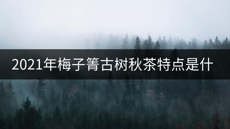 2021年梅子箐古樹秋茶特點(diǎn)是什么？