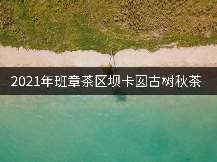 2021年班章茶區(qū)壩卡囡古樹秋茶多少錢一公斤？