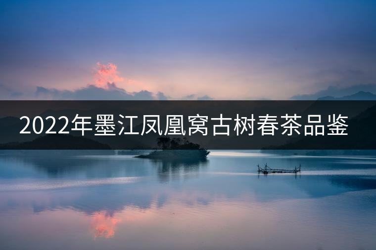 2022年墨江鳳凰窩古樹春茶品鑒實(shí)錄!