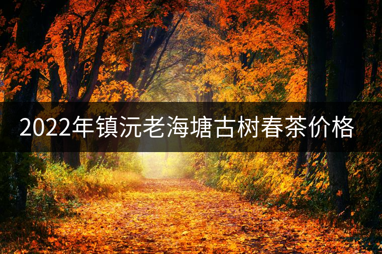 2022年鎮(zhèn)沅老海塘古樹(shù)春茶價(jià)格？