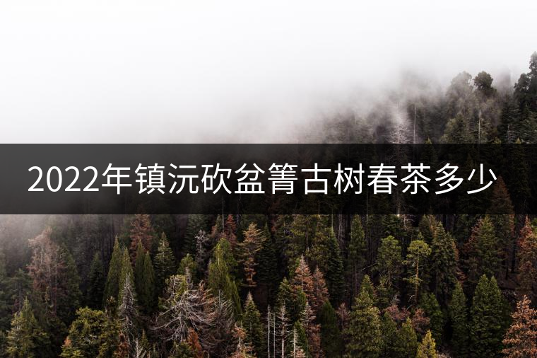 2022年鎮(zhèn)沅砍盆箐古樹春茶多少錢一公斤？