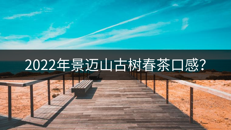 2022年景邁山古樹春茶口感？