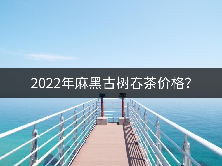 2022年麻黑古樹春茶價(jià)格？