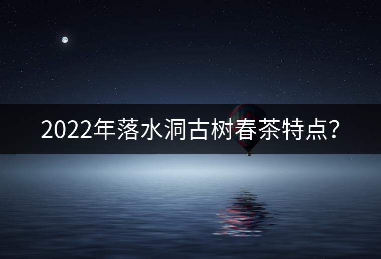 2022年落水洞古樹春茶特點？