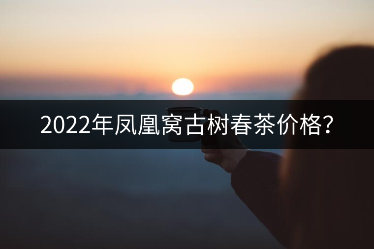 2022年鳳凰窩古樹春茶價格？