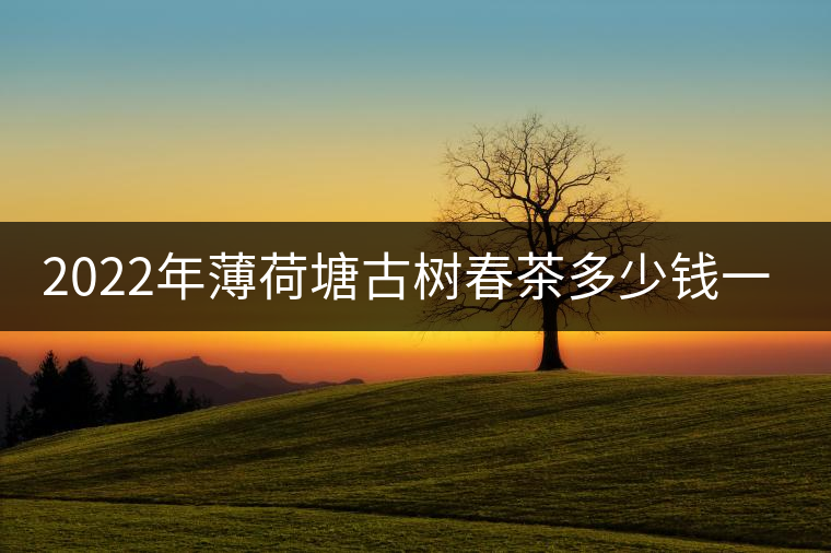 2022年薄荷塘古樹(shù)春茶多少錢(qián)一公斤？