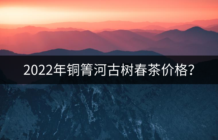 2022年銅箐河古樹春茶價格? 2022年銅箐河古樹春茶價格?
