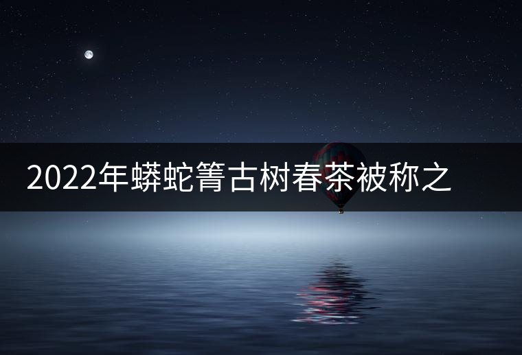 2022年蟒蛇箐古樹春茶被稱之為“蛇精”的普洱茶 2022年蟒蛇箐古樹春茶被稱之為“蛇精”的普洱茶