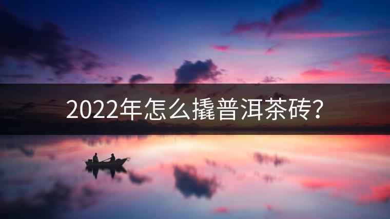 2022年怎么撬普洱茶磚？