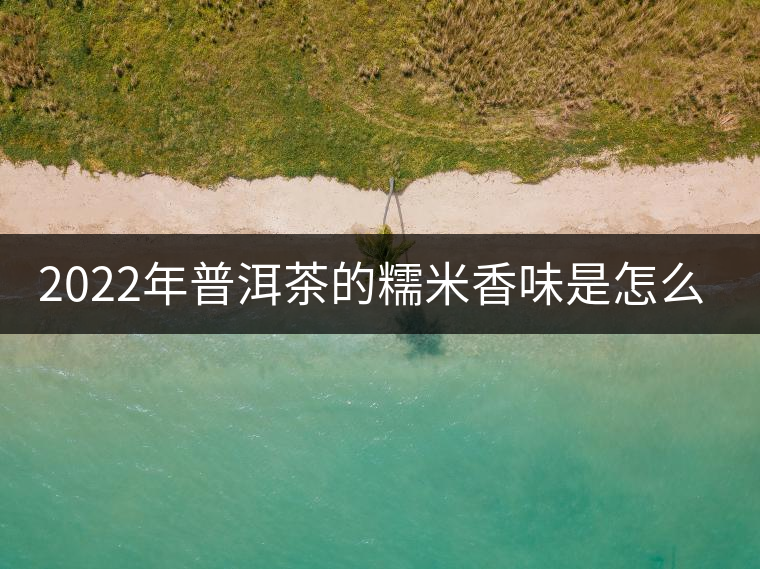 2022年普洱茶的糯米香味是怎么來的？