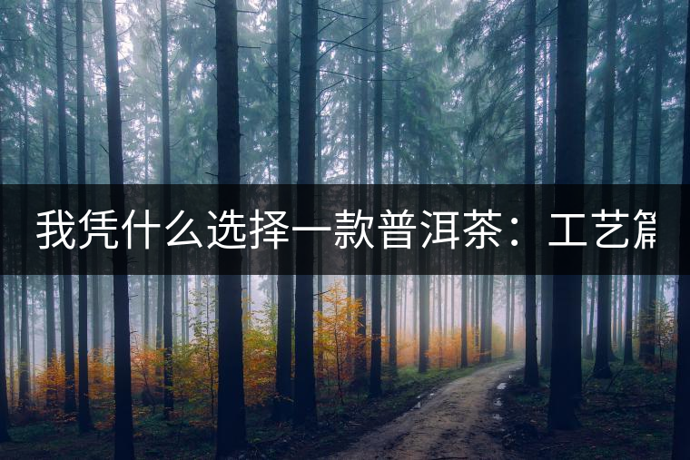 我憑什么選擇一款普洱茶：工藝篇？