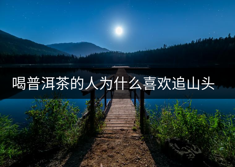 喝普洱茶的人為什么喜歡追山頭？無非就是這幾個原因