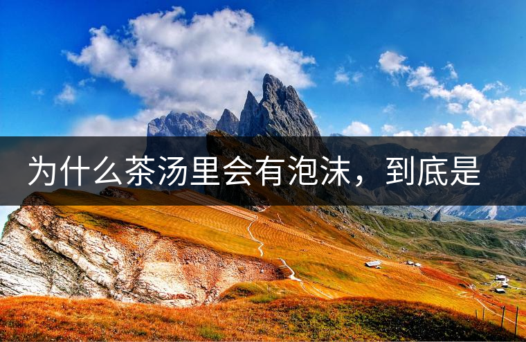 為什么茶湯里會(huì)有泡沫，到底是怎么回事？