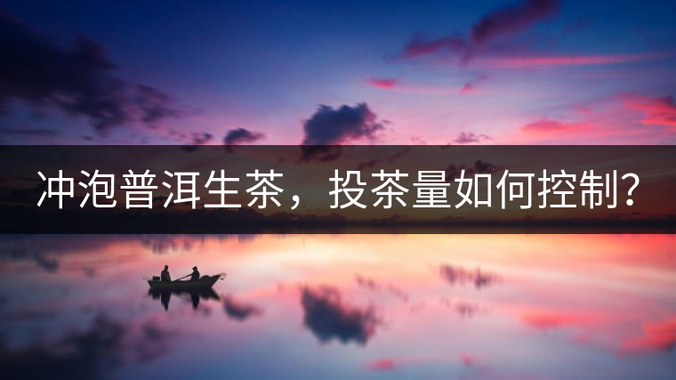 沖泡普洱生茶，投茶量如何控制？