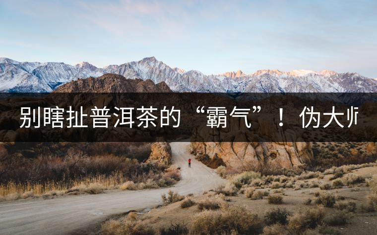 別瞎扯普洱茶的“霸氣”！偽大師！