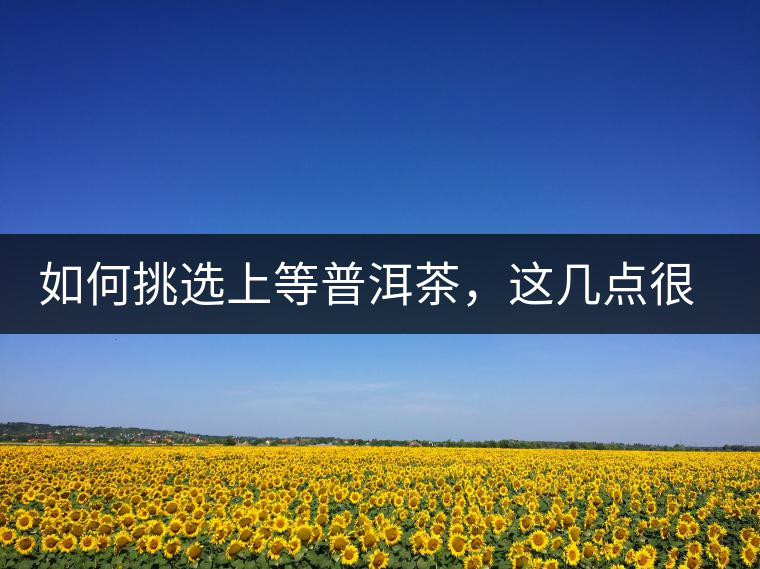如何挑選上等普洱茶,這幾點(diǎn)很關(guān)鍵 如何挑選上等普洱茶,這幾點(diǎn)很關(guān)鍵
