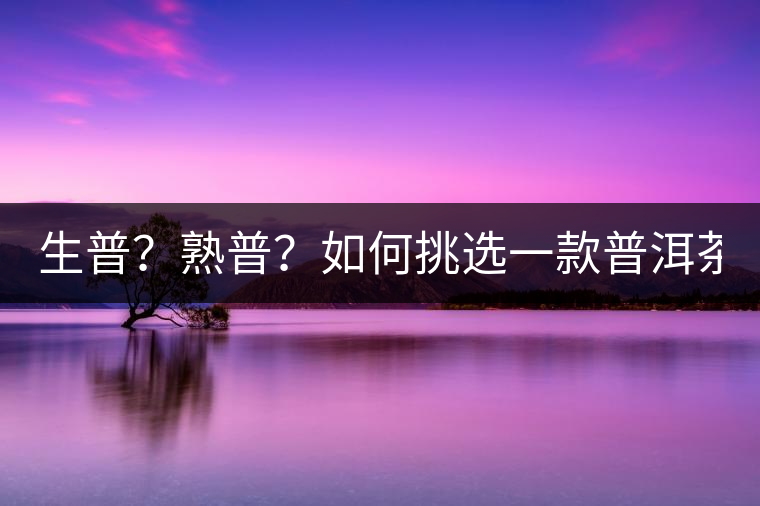 生普？熟普？如何挑選一款普洱茶？