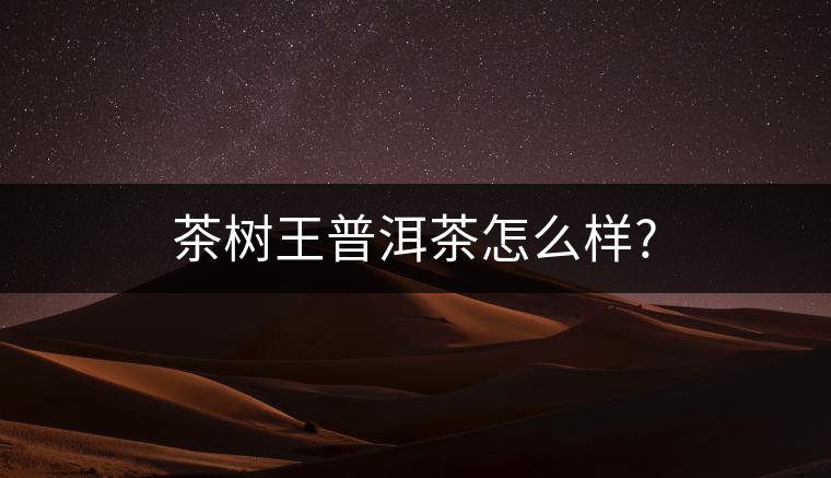 茶樹王普洱茶怎么樣?