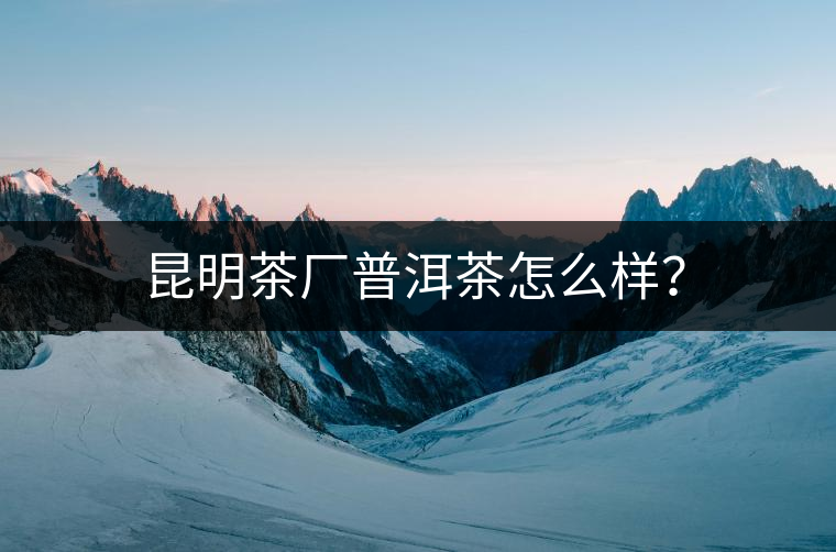 昆明茶廠普洱茶怎么樣？