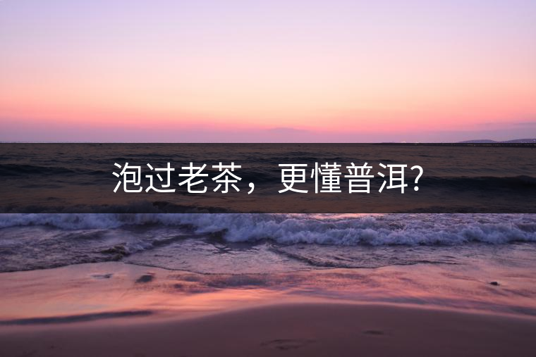 泡過老茶，更懂普洱?