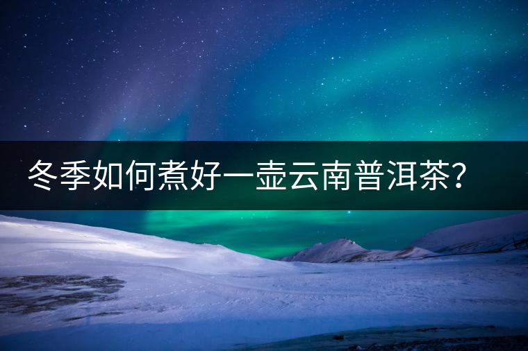 冬季如何煮好一壺云南普洱茶？記好這份煮茶攻略
