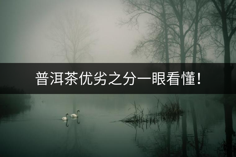 普洱茶優(yōu)劣之分一眼看懂！