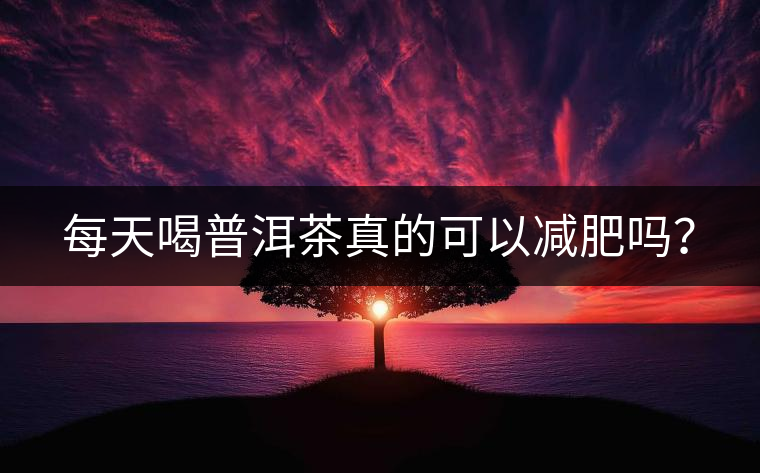 每天喝普洱茶真的可以減肥嗎? 每天喝普洱茶真的可以減肥嗎?