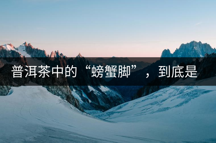 普洱茶中的“螃蟹腳”，到底是什么？如何辨別？