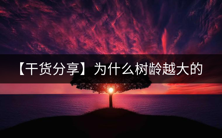 【干貨分享】為什么樹齡越大的普洱生茶，苦味越容易化掉？
