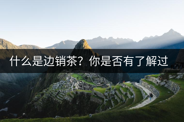 什么是邊銷茶？你是否有了解過邊銷茶呢？