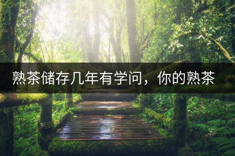 熟茶儲(chǔ)存幾年有學(xué)問，你的熟茶存幾年？