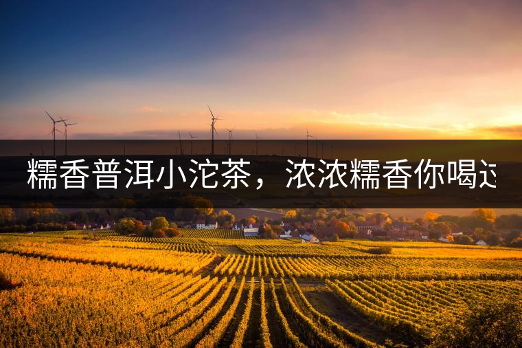 糯香普洱小沱茶，濃濃糯香你喝過嗎？