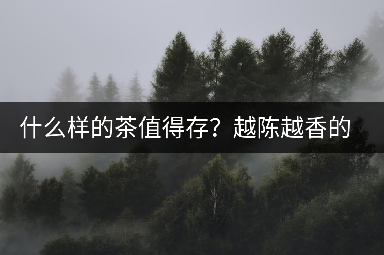 什么樣的茶值得存？越陳越香的本質(zhì)是什么？