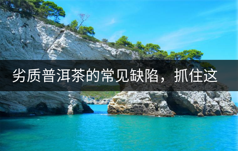 劣質(zhì)普洱茶的常見缺陷，抓住這三個特征，拒絕劣質(zhì)茶！