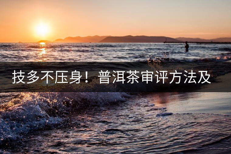 技多不壓身！普洱茶審評方法及專業(yè)術(shù)語大全（下）