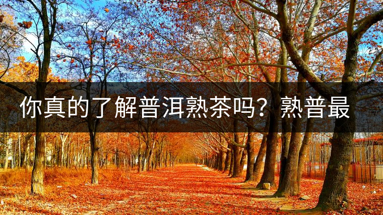 你真的了解普洱熟茶嗎？熟普最詳細(xì)的揭秘都在這里了。