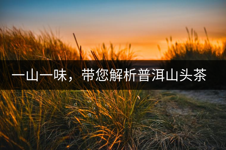 一山一味，帶您解析普洱山頭茶的密碼究竟是什么？