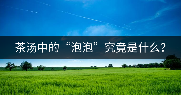 茶湯中的“泡泡”究竟是什么？