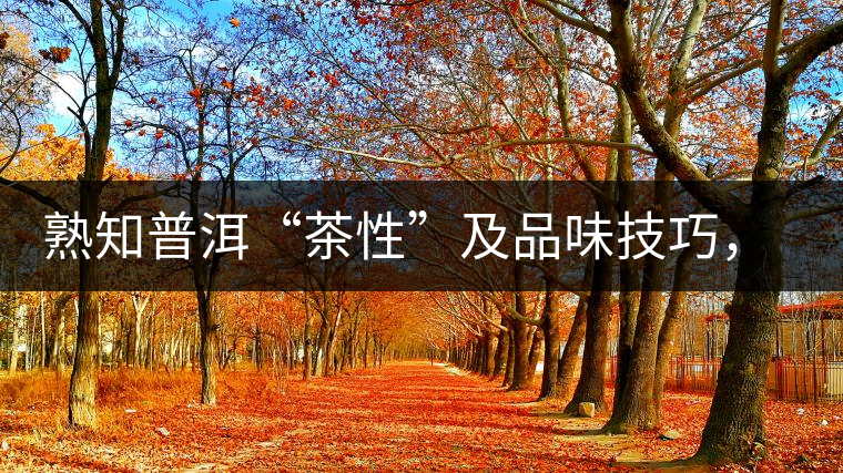 熟知普洱“茶性”及品味技巧，方能品出好茶