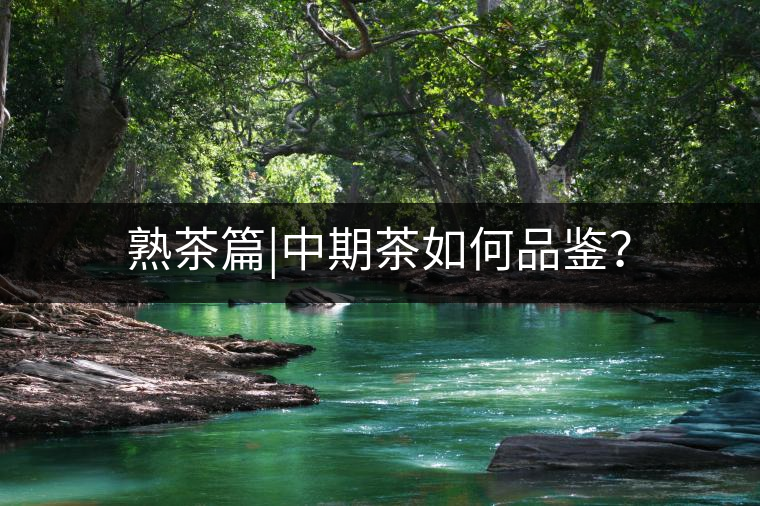 熟茶篇|中期茶如何品鑒？