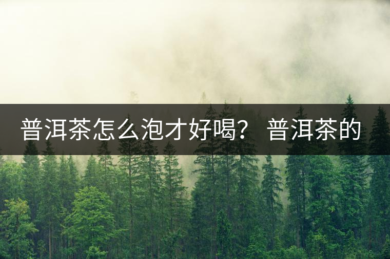 普洱茶怎么泡才好喝？ 普洱茶的沖泡技巧！