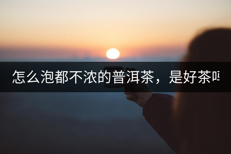 怎么泡都不濃的普洱茶，是好茶嗎？